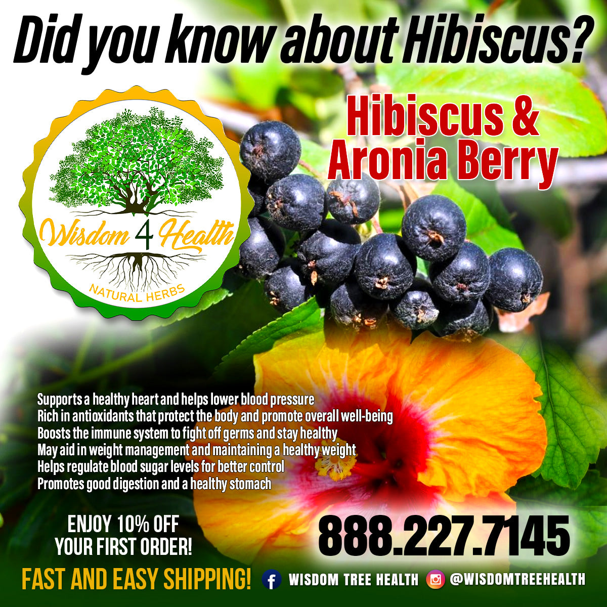 Hibiscus and Aronia Berry