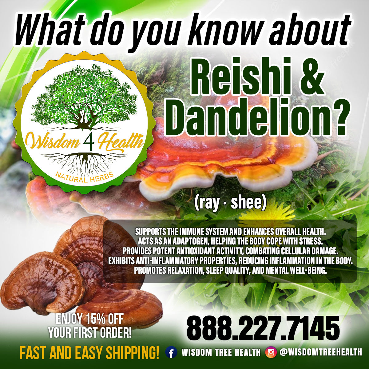 Reishi Mushroom and Dandelion